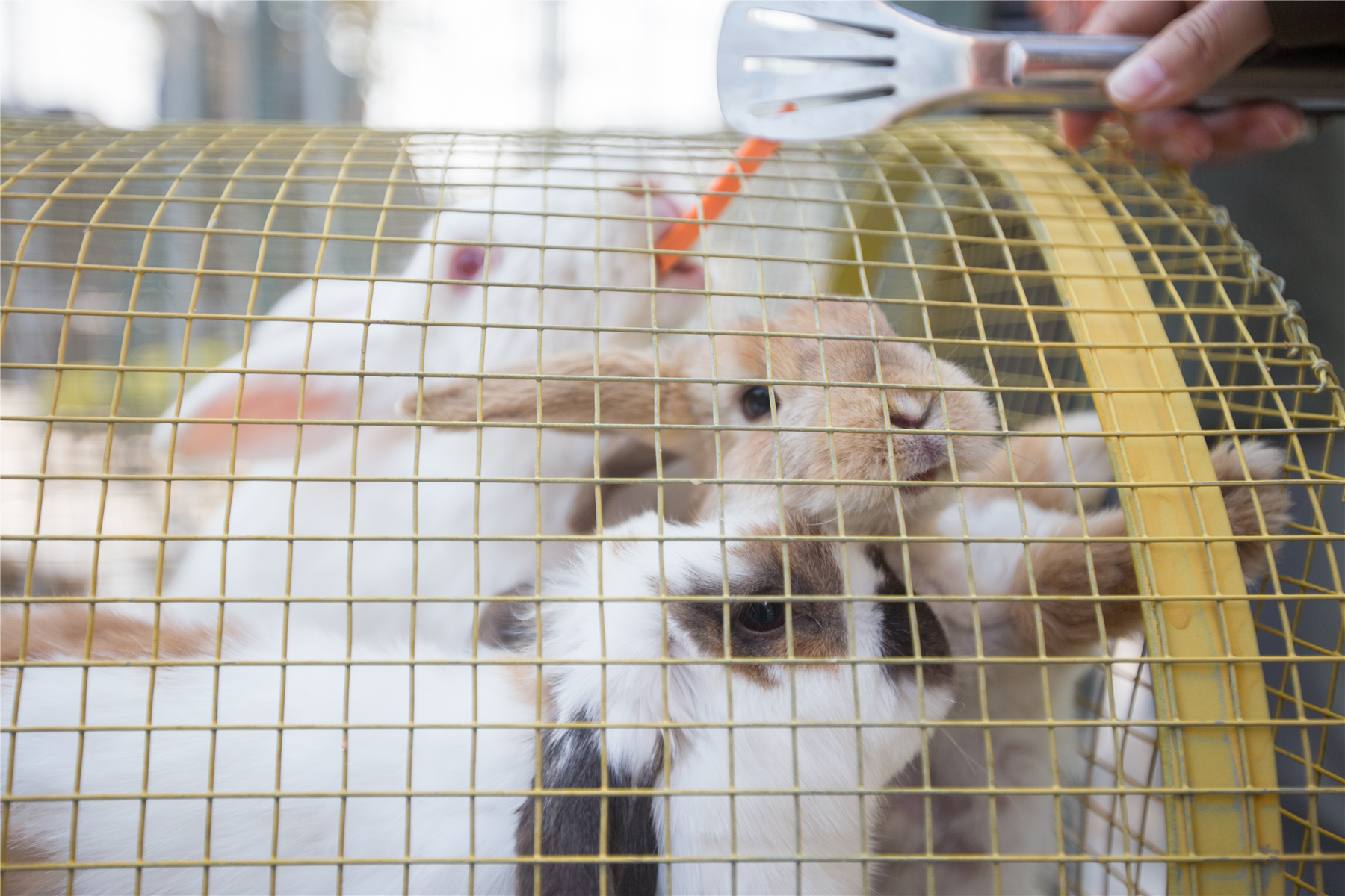 广州南沙金茂万豪酒店附近景点,广州南沙金茂万豪酒店怎么进去