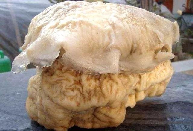 为什么不能太岁头上动土,都说不能在太岁头上动土为什么