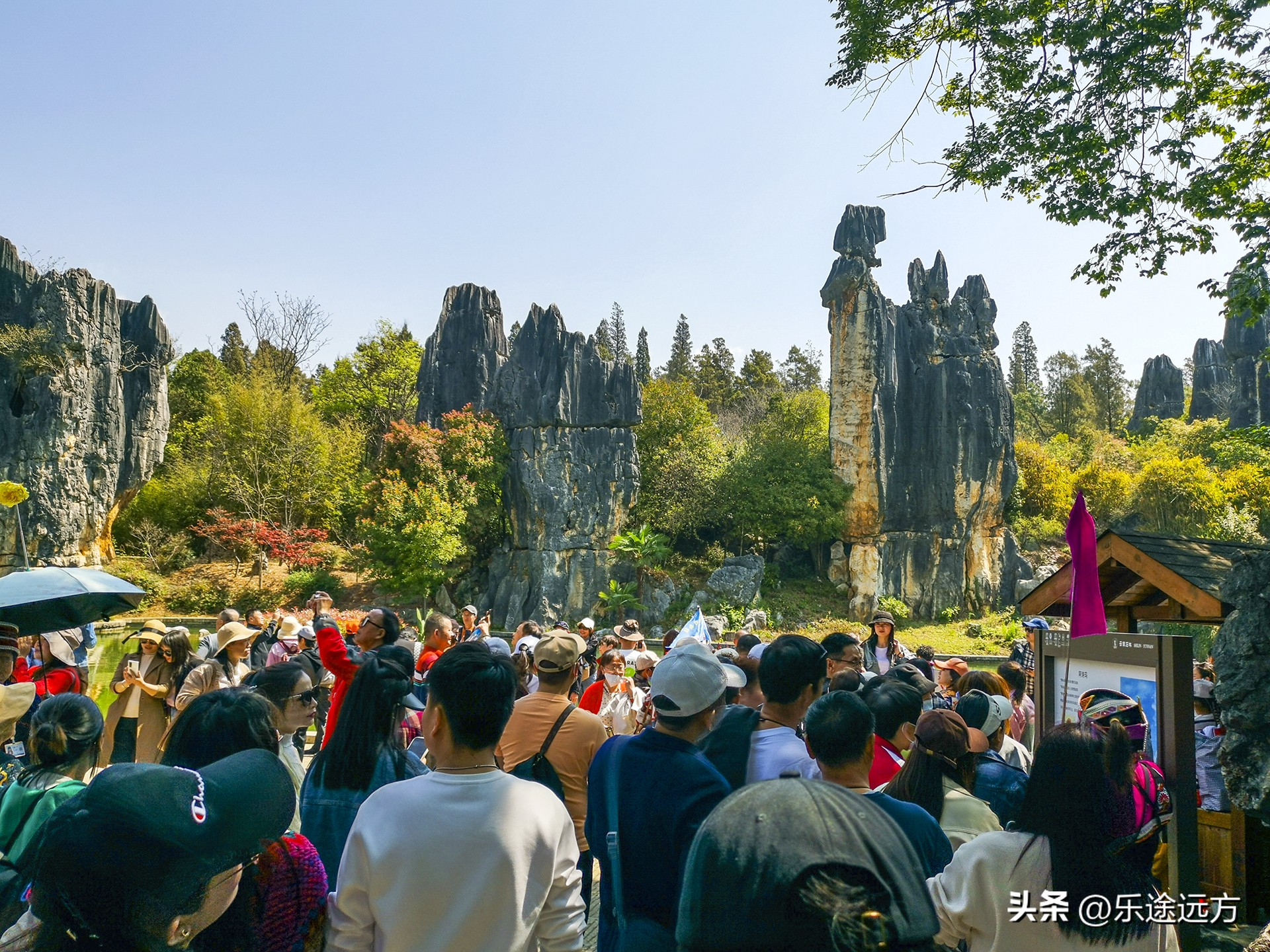 为什么一定要去云南,去昆明一定要去石林吗