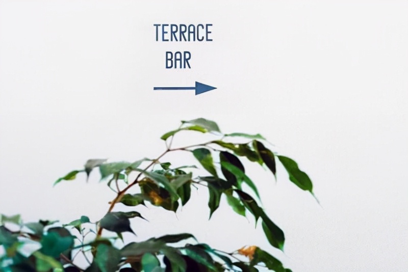 最值得去的15个酒吧,酒吧分哪几种类型的人