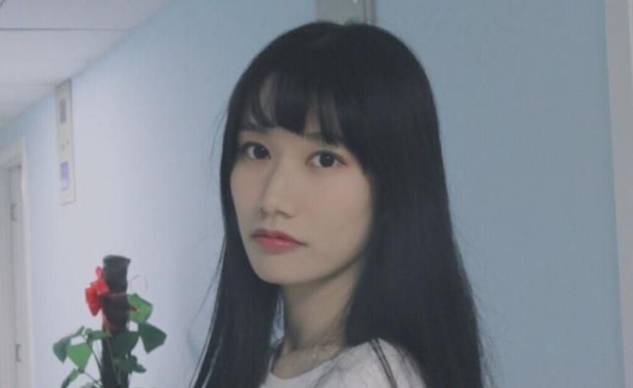 宁静谈编制,宁静直言自己有编制吗