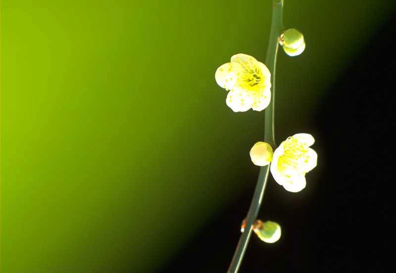 hr如何面对优秀人才离职,培养的员工突然离职