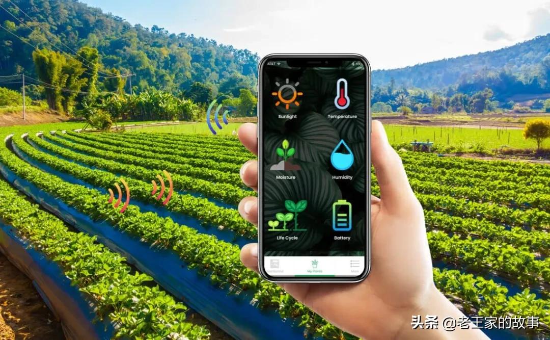 智慧农业补贴新政策,智慧农业扶持政策