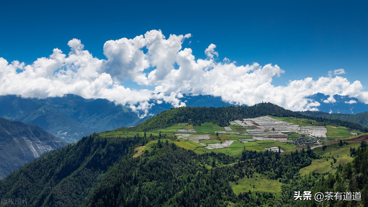 到香格里拉一定要去看梅里雪山,到香格里拉玩什么