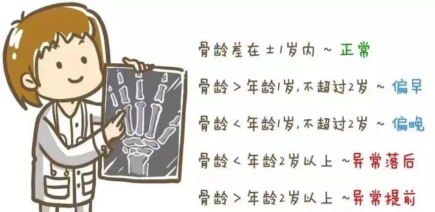 骨龄和身高有什么区别,骨龄知识科普视频比赛