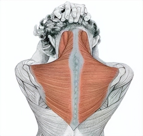 颈椎病低龄化，秦皇岛军工医院康复中心有办法