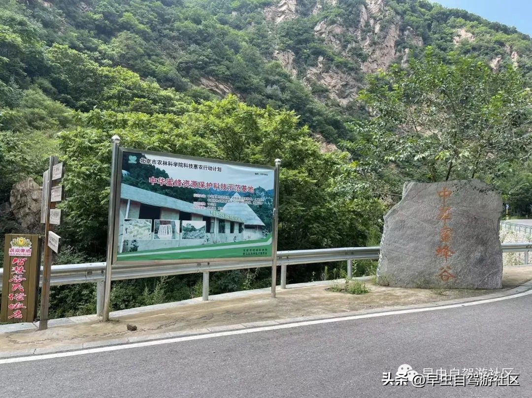 蜜蜂谷养殖,普定蜜蜂谷