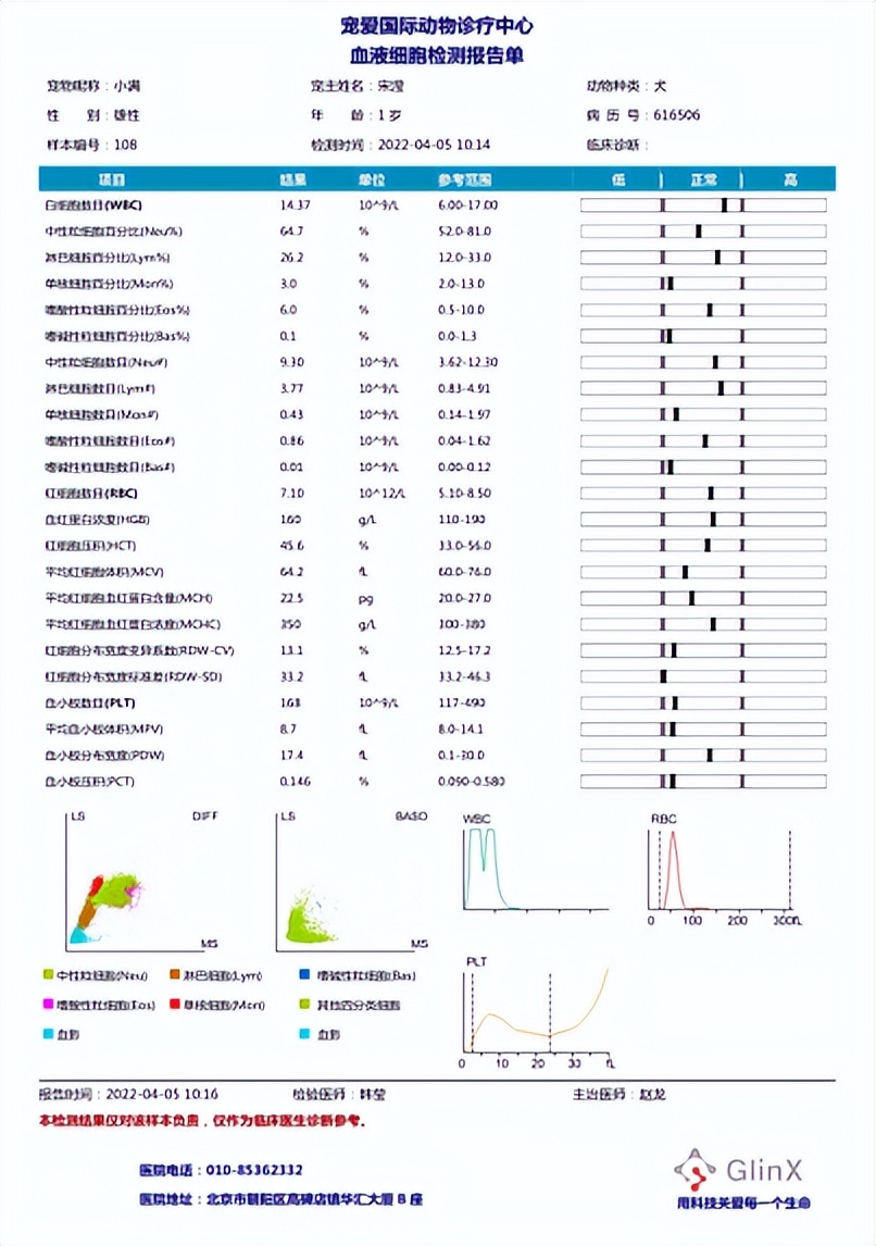 狗狗骨折会自愈吗,狗狗肘关节骨折了会自愈吗