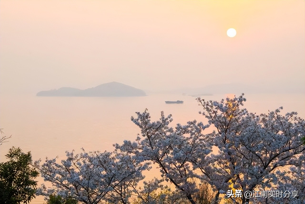 太湖鼋头渚樱花谷唯美浪漫,无锡太湖鼋头渚赏樱攻略