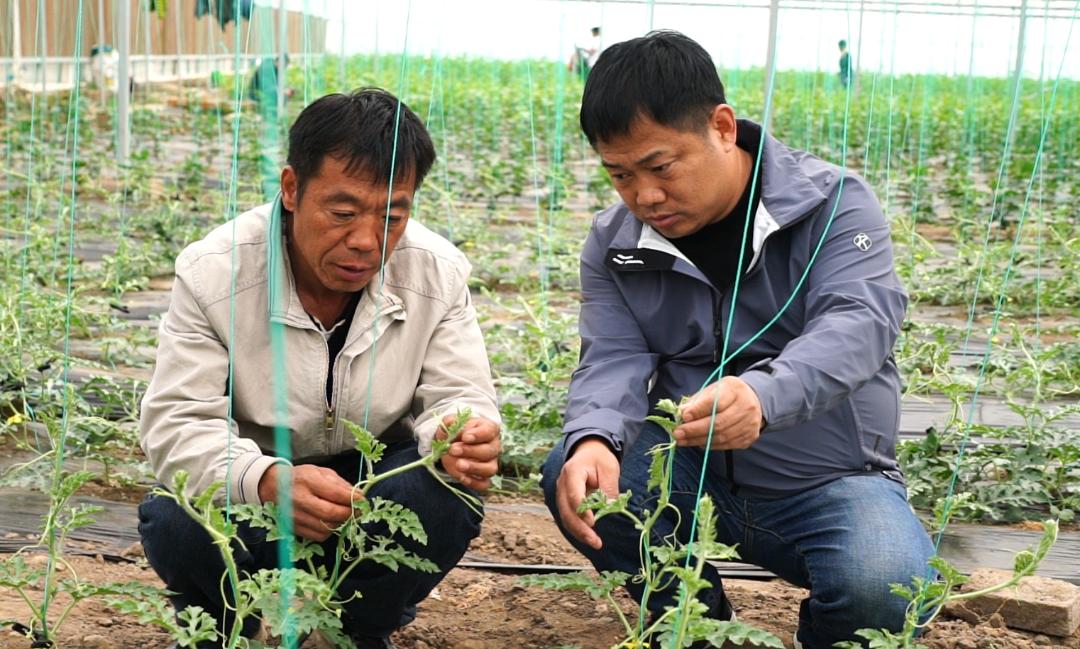 【干事创业强担当】刘天民:乡村振兴路上的领路人