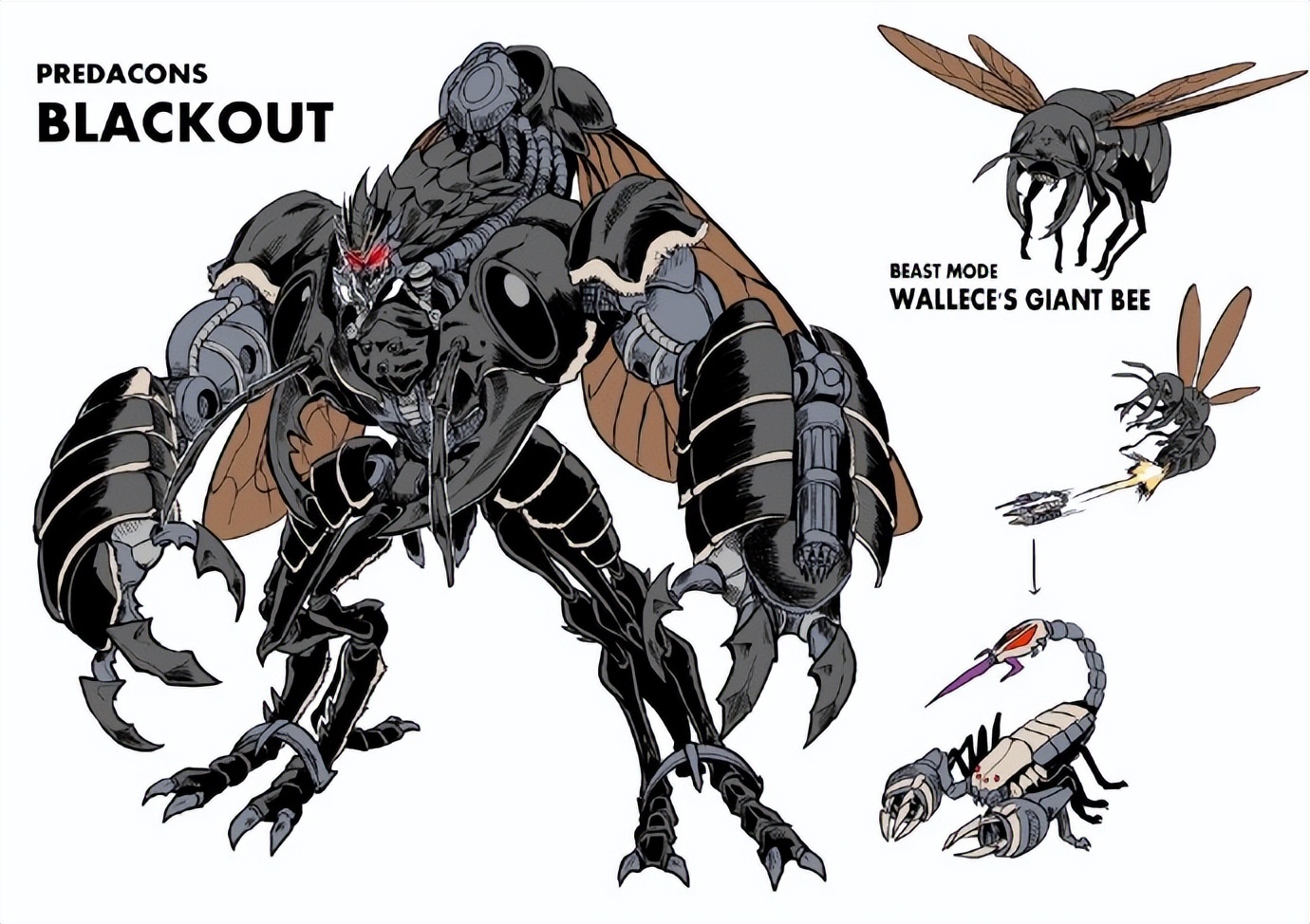变形金刚超能勇士崛起人物设定图,变形金刚七超能勇士崛起前三名