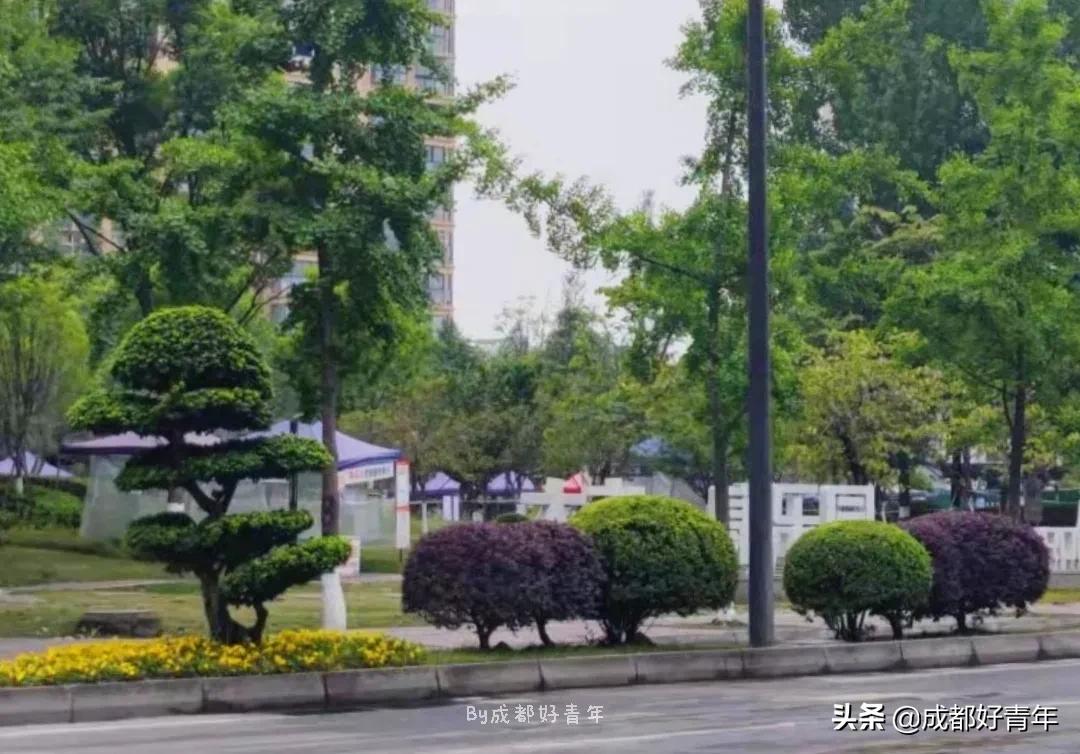 大丰城北新区,大丰发展城东还是城西