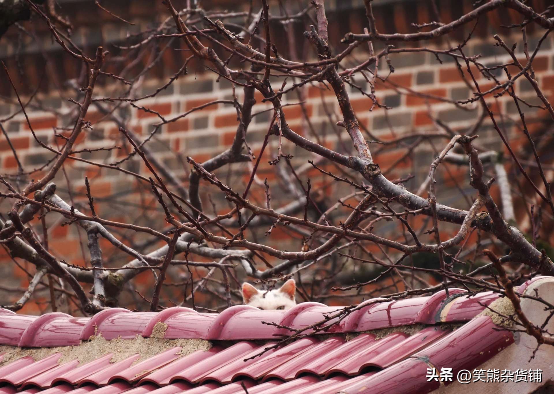 冬季自驾环游东北20201210：丹东大孤山，古刹与老教堂