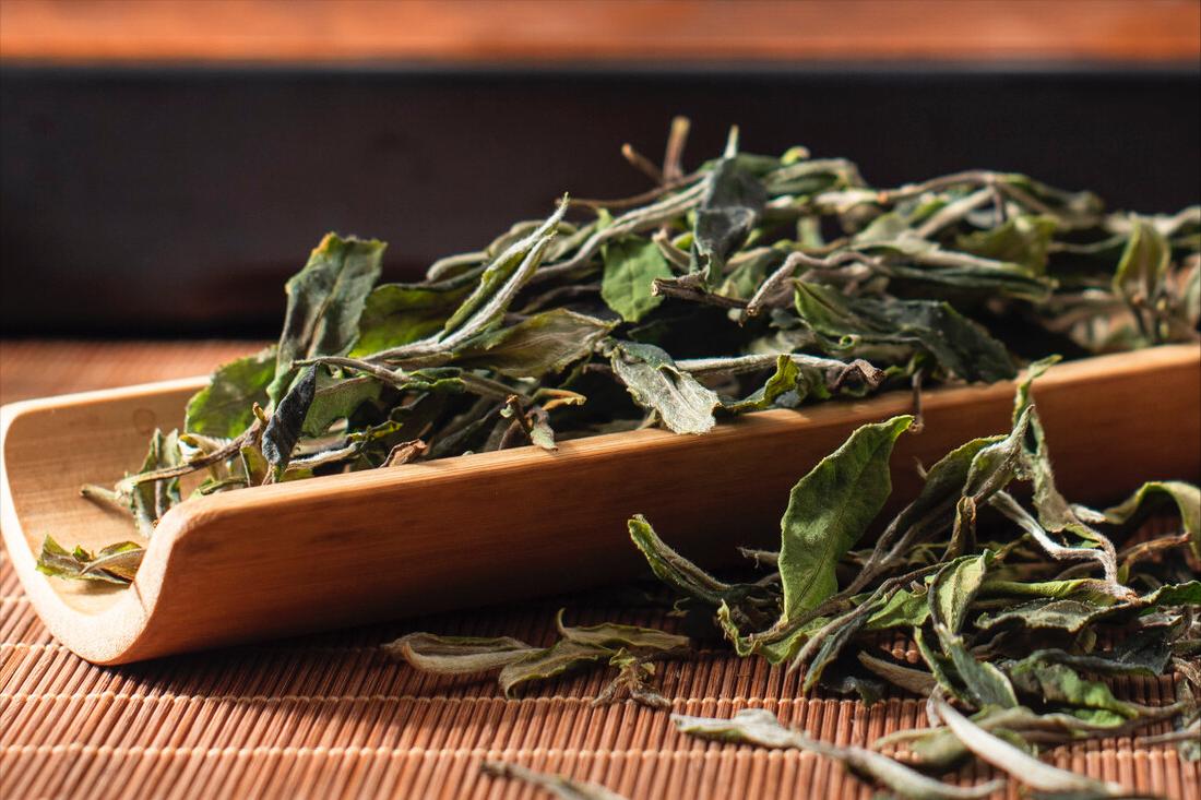 茶叶被黑得最惨的一次,紧急提醒这种茶叶有毒千万别碰