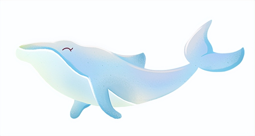 代理公司注册需要注意什么,泰国注册公司注意事项