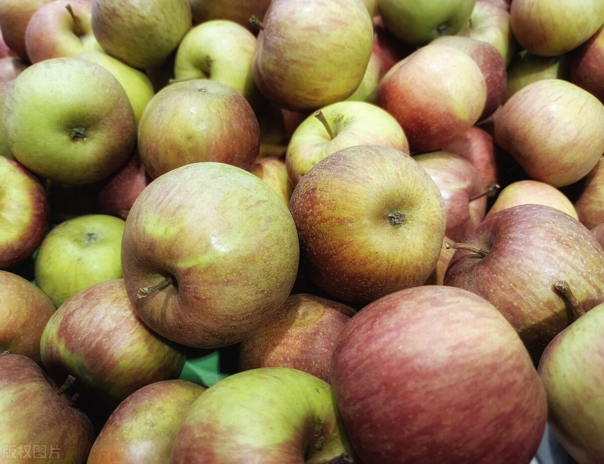 全国哪里的苹果最有名？经过评选，这6个产地的苹果比较好吃
