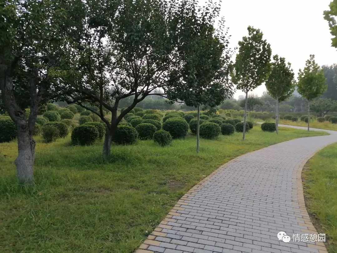 一段路一段情的唯美句子,一段路一段缘