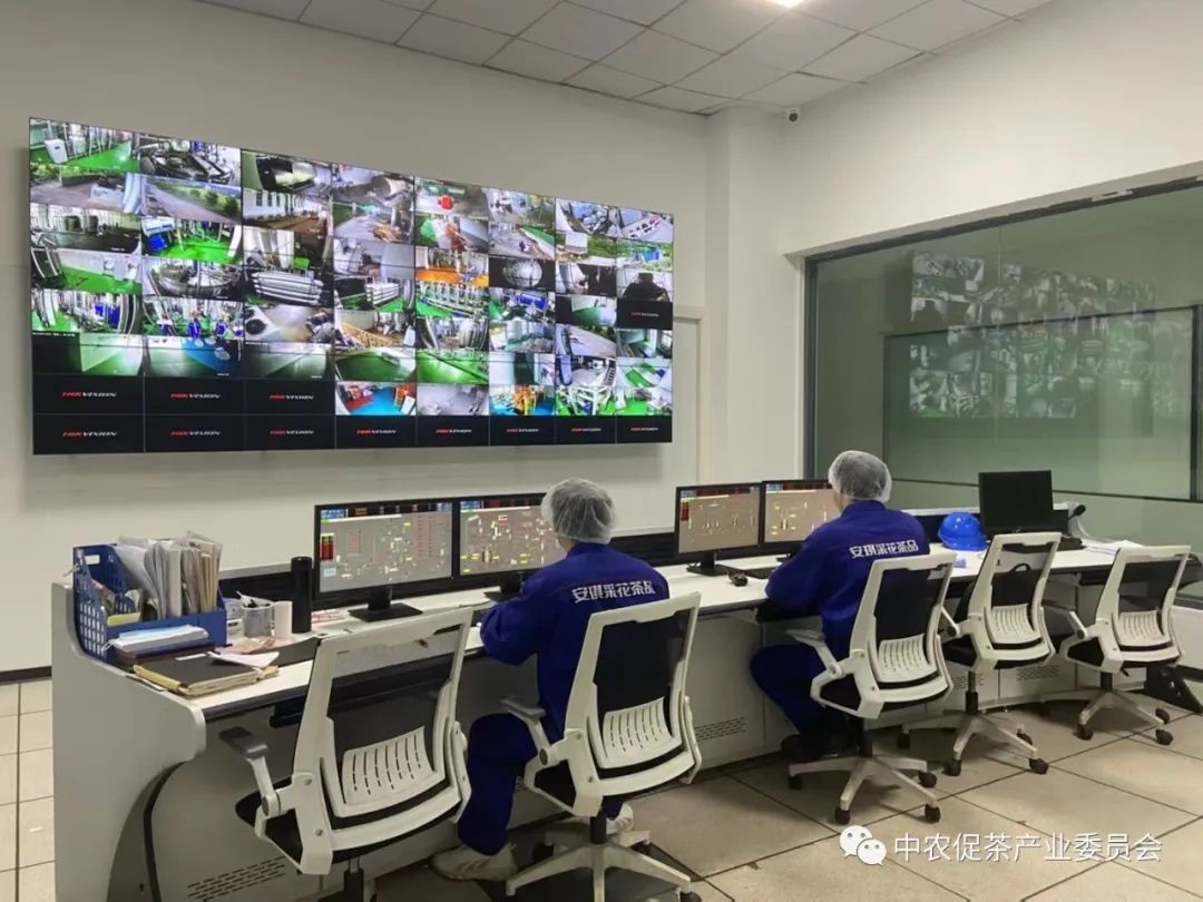 湖北省五峰毛尖绿茶,湖北五峰毛尖绿茶