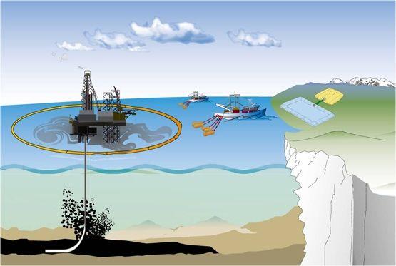 石油是不是远古森林形成的,石油是怎么形成的历史故事