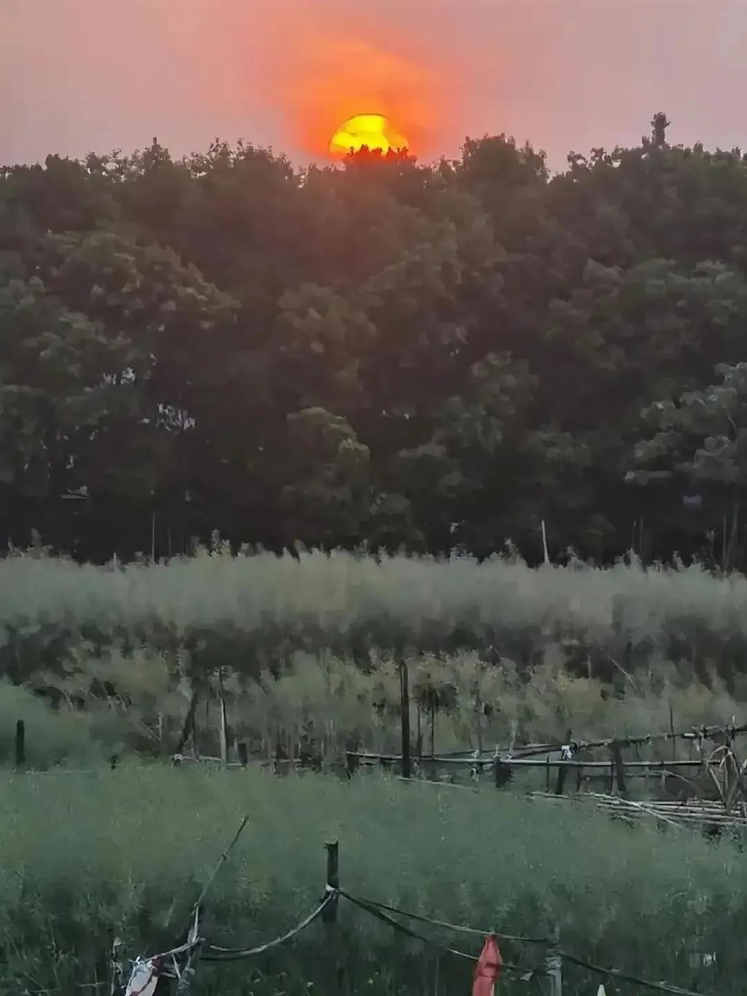 创业计划书项目,创业计划书完整版免费