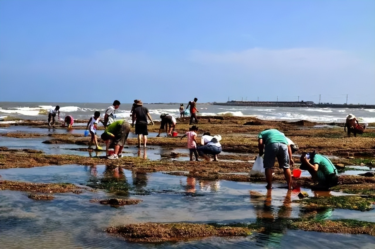 秦皇岛赶海退潮时间表,秦皇岛几点退潮赶海能捡到海鲜