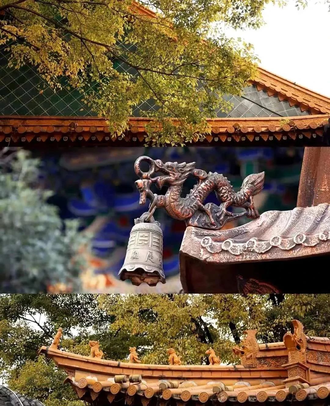 昆明小众打卡点,昆明小众适合孩子玩的地方