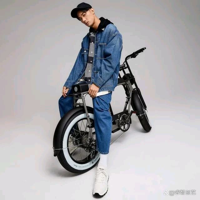 德国复古电动单车,复古单车电动