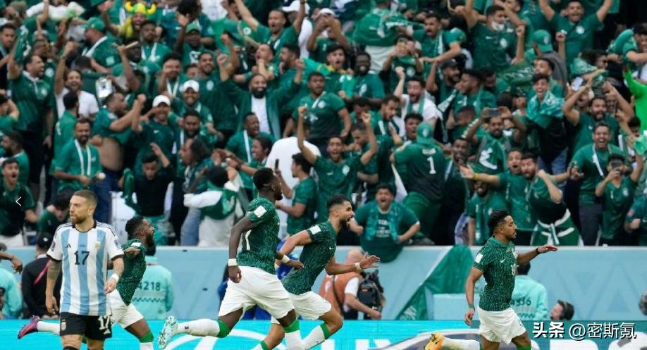 世界杯突尼斯vs澳大利亚半全场,世界杯波兰对突尼斯