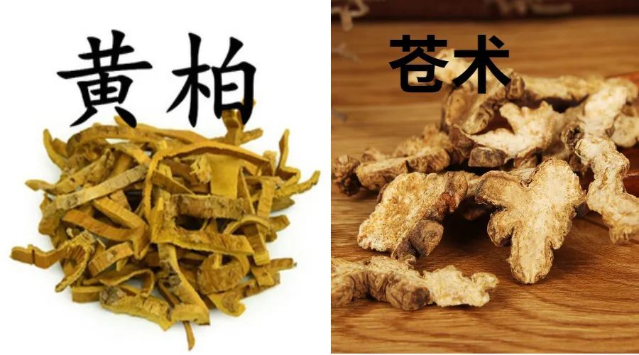 治疗痛风清热燥湿的中药,痛风二妙散方剂