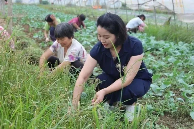 巾帼心向党再创新辉煌,巾帼心向党奋进新征程妇联