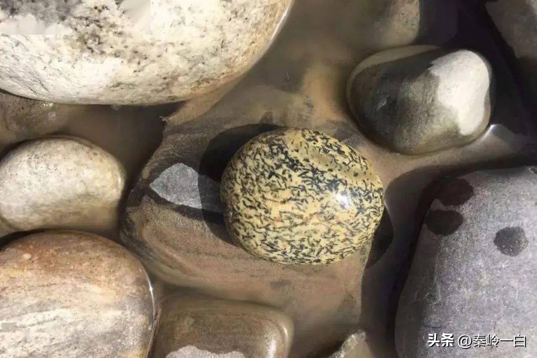 隋朝麦铁杖真实照片,隋朝麦铁杖真实身份