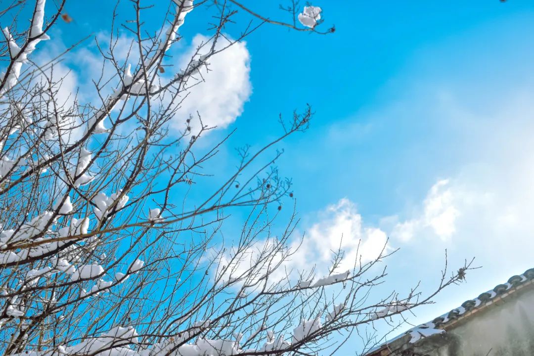 林深时见鹿溪午不闻钟李白,盘点李白最温柔的诗词