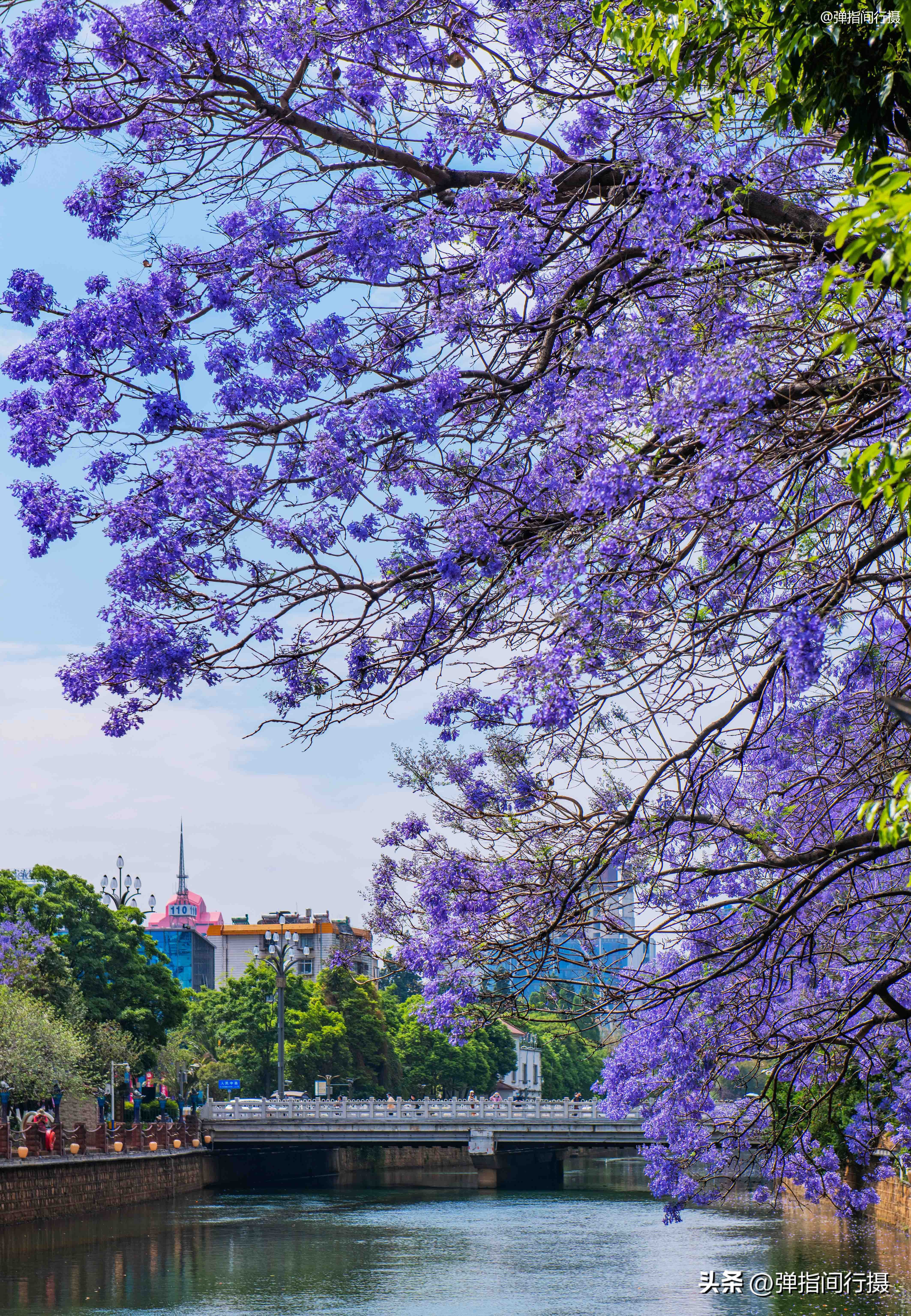 昆明春天假日游玩推荐特辑,昆明春天旅游攻略