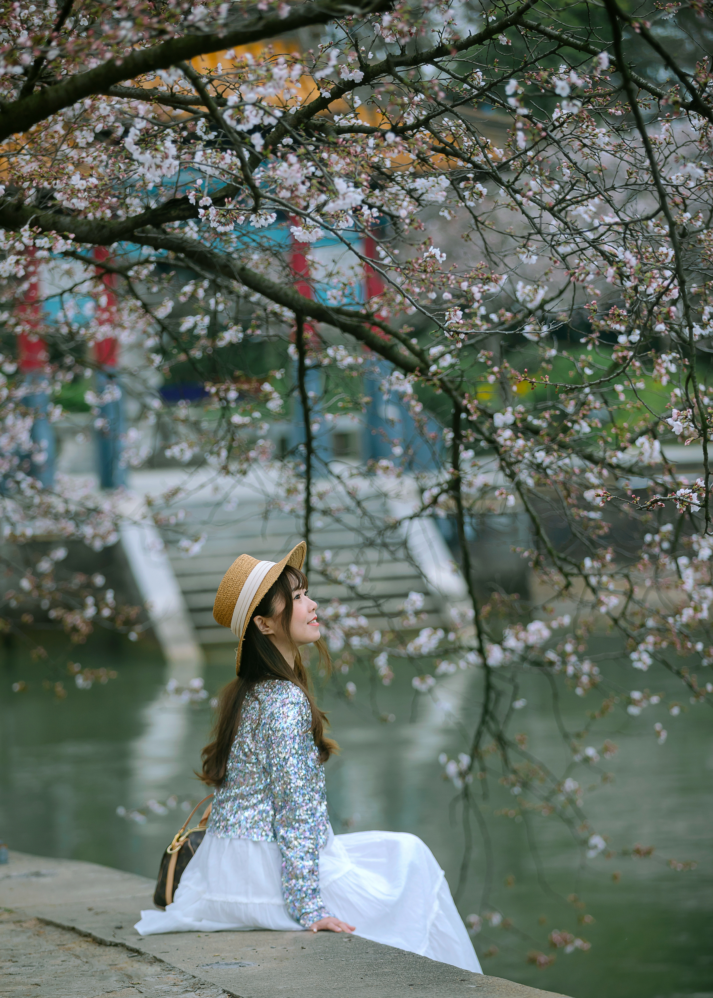 鼋头渚樱花盛宴比日本更令人沉醉,太湖鼋头渚樱花美如画