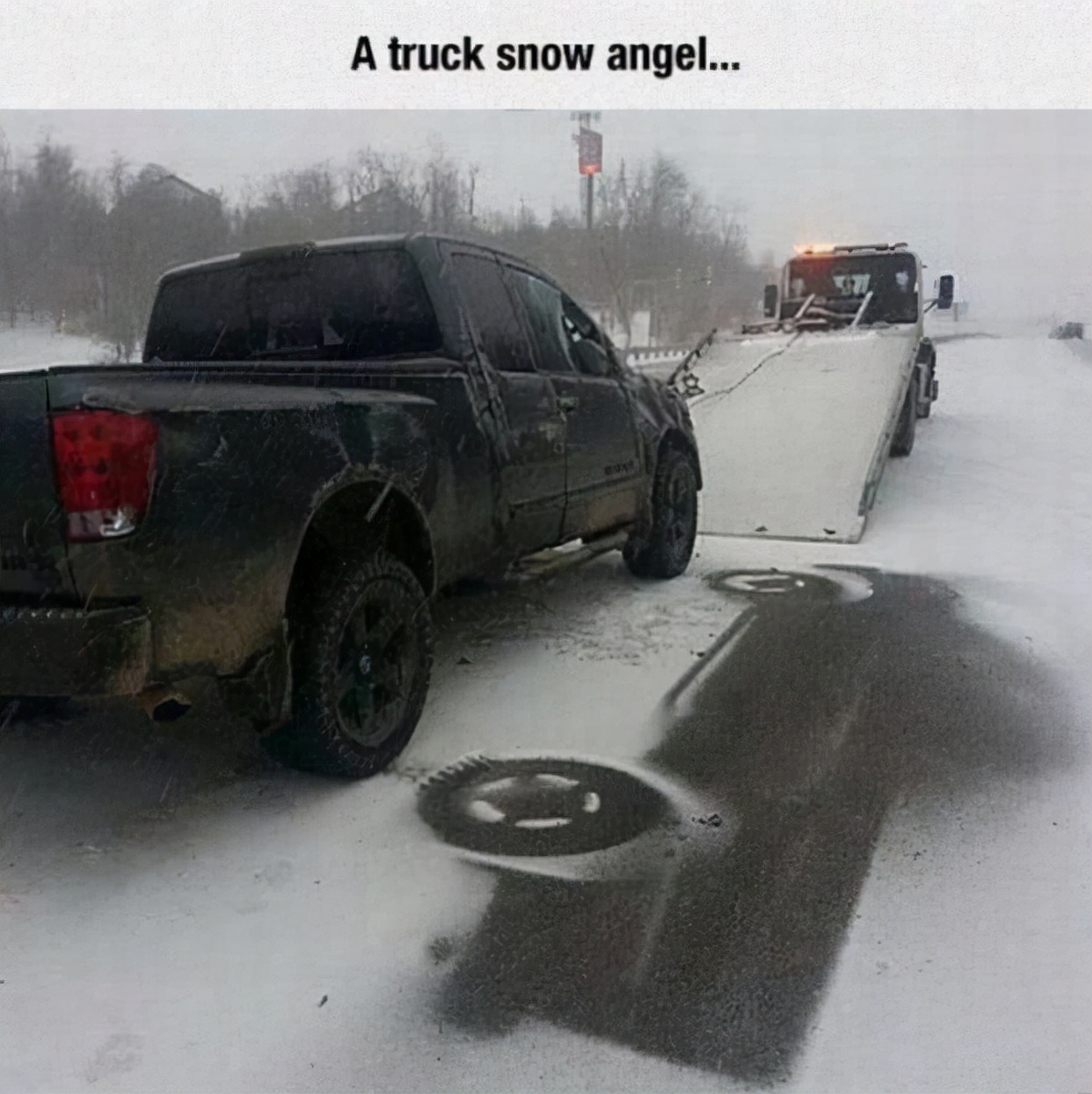 世界上最壮的牛照片,世界最壮的牛图片