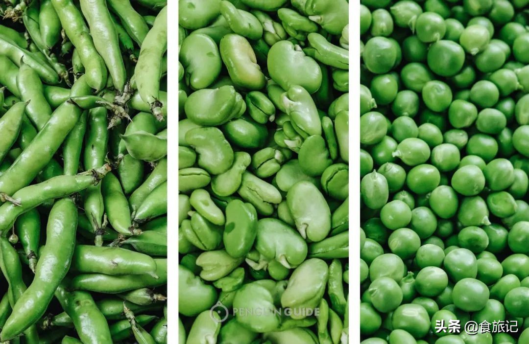 春游地点推荐省钱攻略,春游攻略正当时