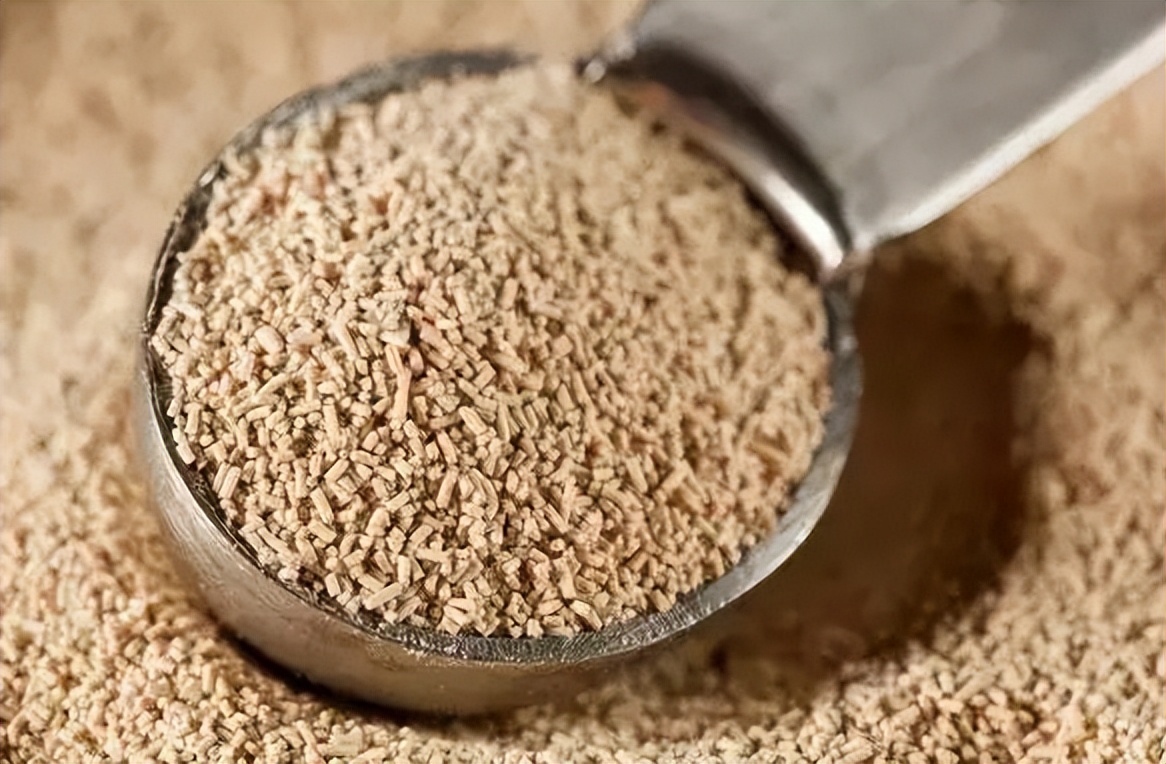 常吃酵母蒸的馒头，会危害健康吗？为了家人的健康，不妨了解一下