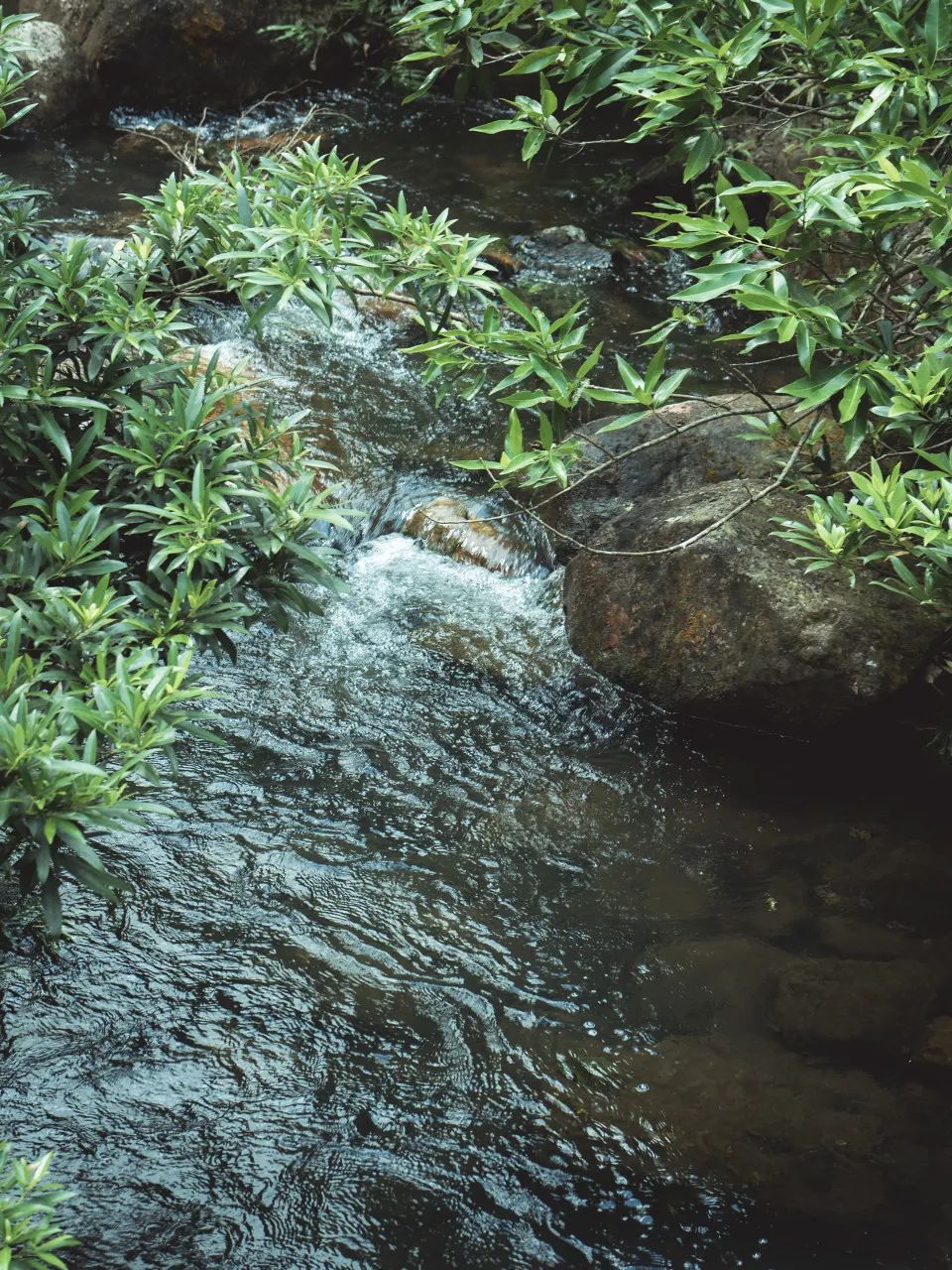 这座海滨小城可真美丽,小众旅行海边小城市