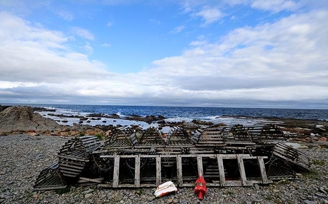 世界第一渔港,世界第一渔港为什么没有捕鱼