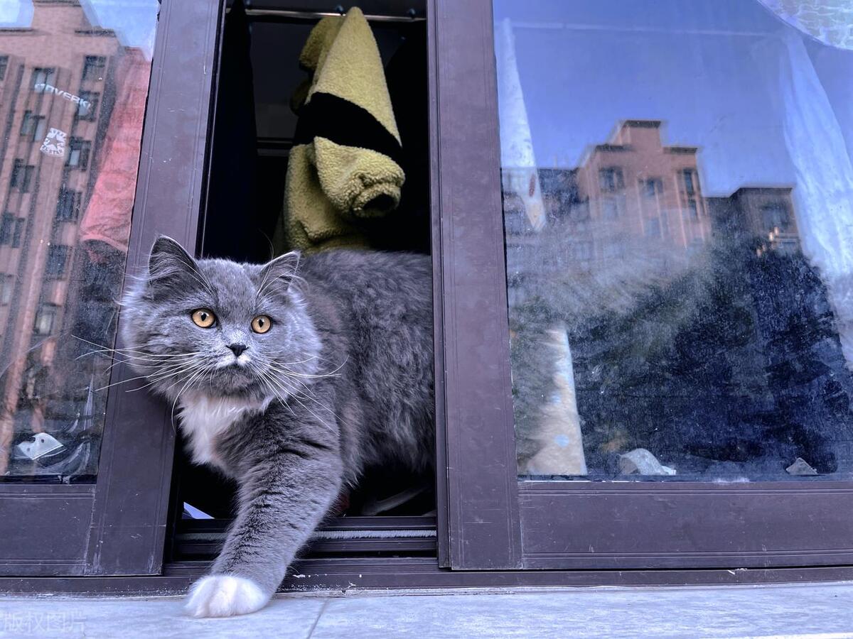 男子偷衣成瘾,男子盗窃内裤上瘾