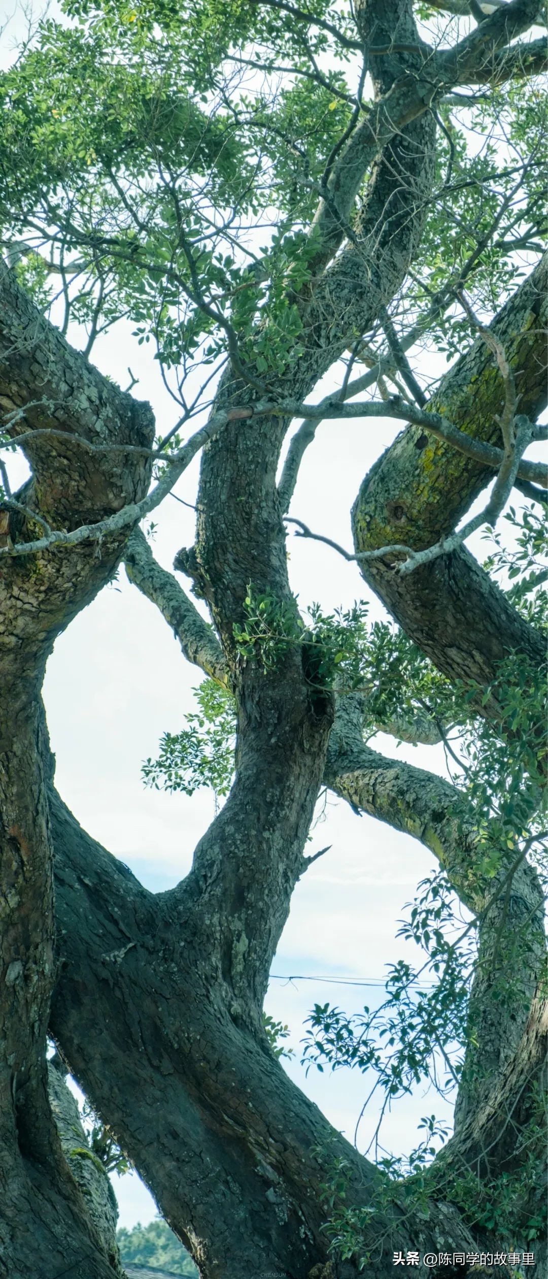 福建霞浦最美的海滩在哪里,霞浦值得去的海滩