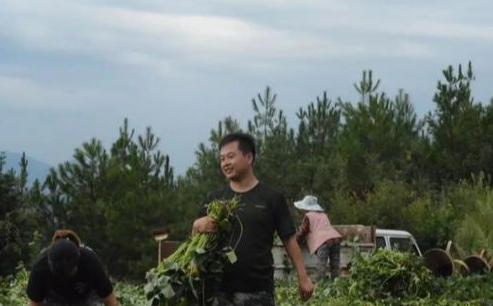 准岳父下跪求他离开女儿，决心创业进深山养鸡16年，带领村民致富