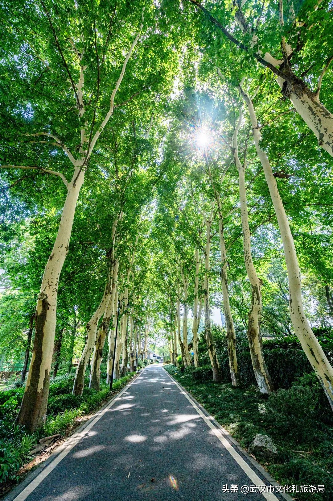 毛孩子变装,毛孩子穿上新衣服了