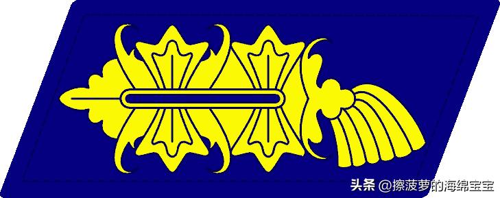 二战德国国防军医疗兵军衔标志