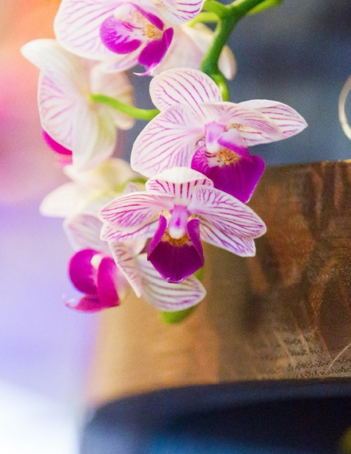 不管夫妻还是情人，若对方不联系你了，这么处理才最聪明