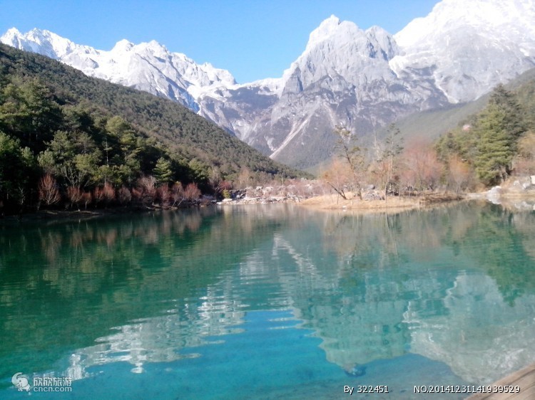去云南旅游报团还是自由行比较好,去云南跟团旅游怎么样报团便宜点