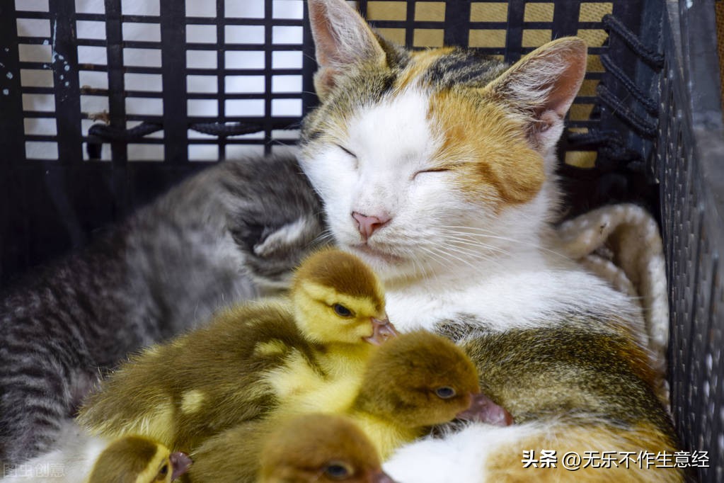 现在疫情能干点什么赚钱,疫情副业怎么赚钱