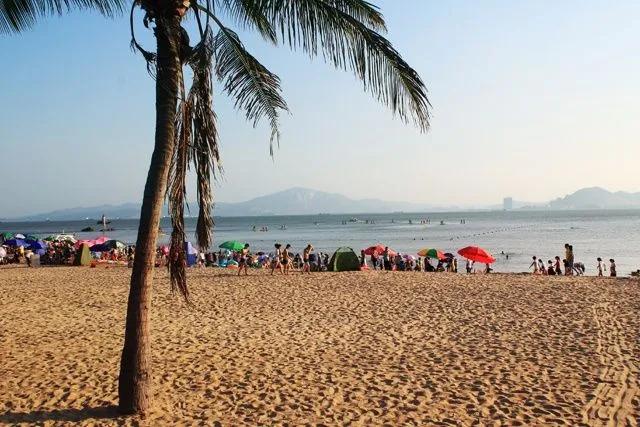 厦门环岛木栈道有海滩吗,厦门环岛路木栈道