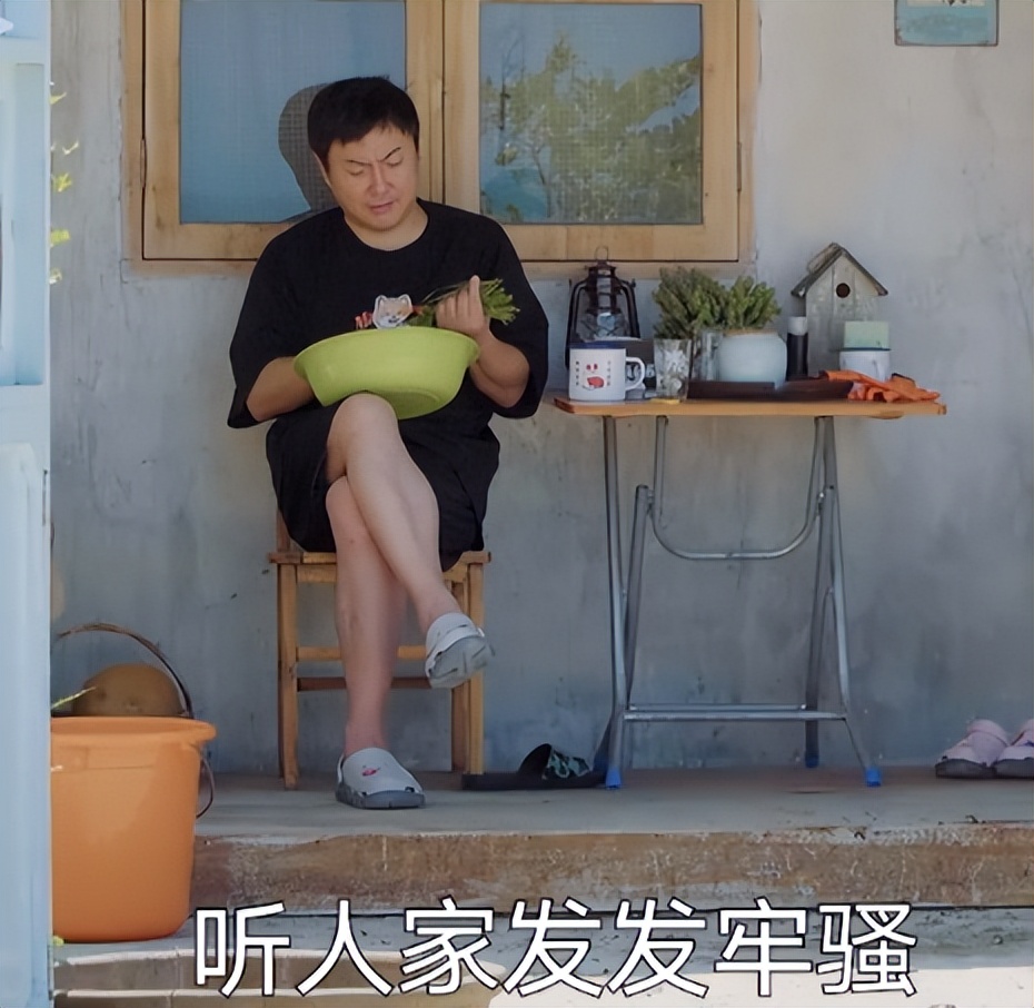 向往6最后几期嘉宾,向往6什么时候开播