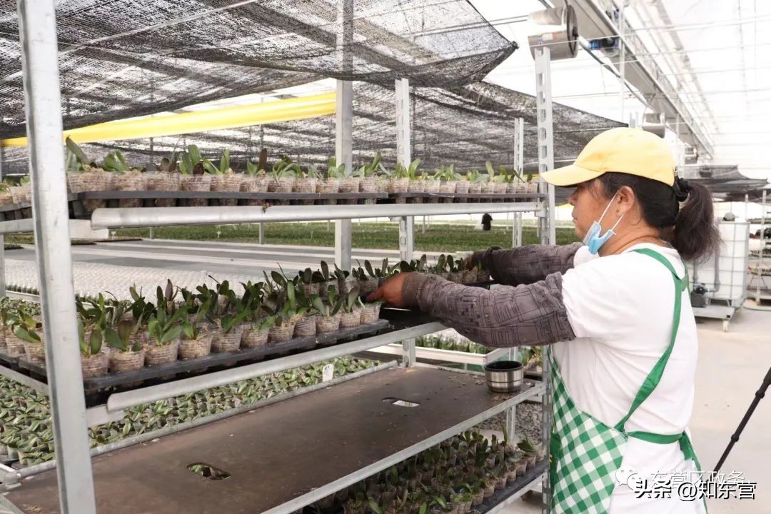 走在前开新局日照,走在前开新局出处